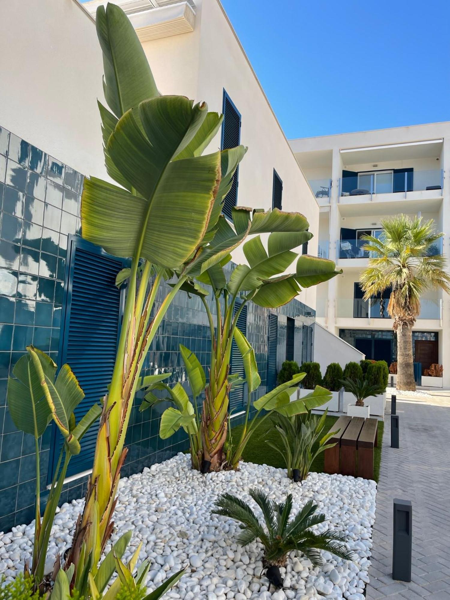 Appartement Hola Blanca - Sea, Golf, Chill à Dehesa de Campoamor  Extérieur photo