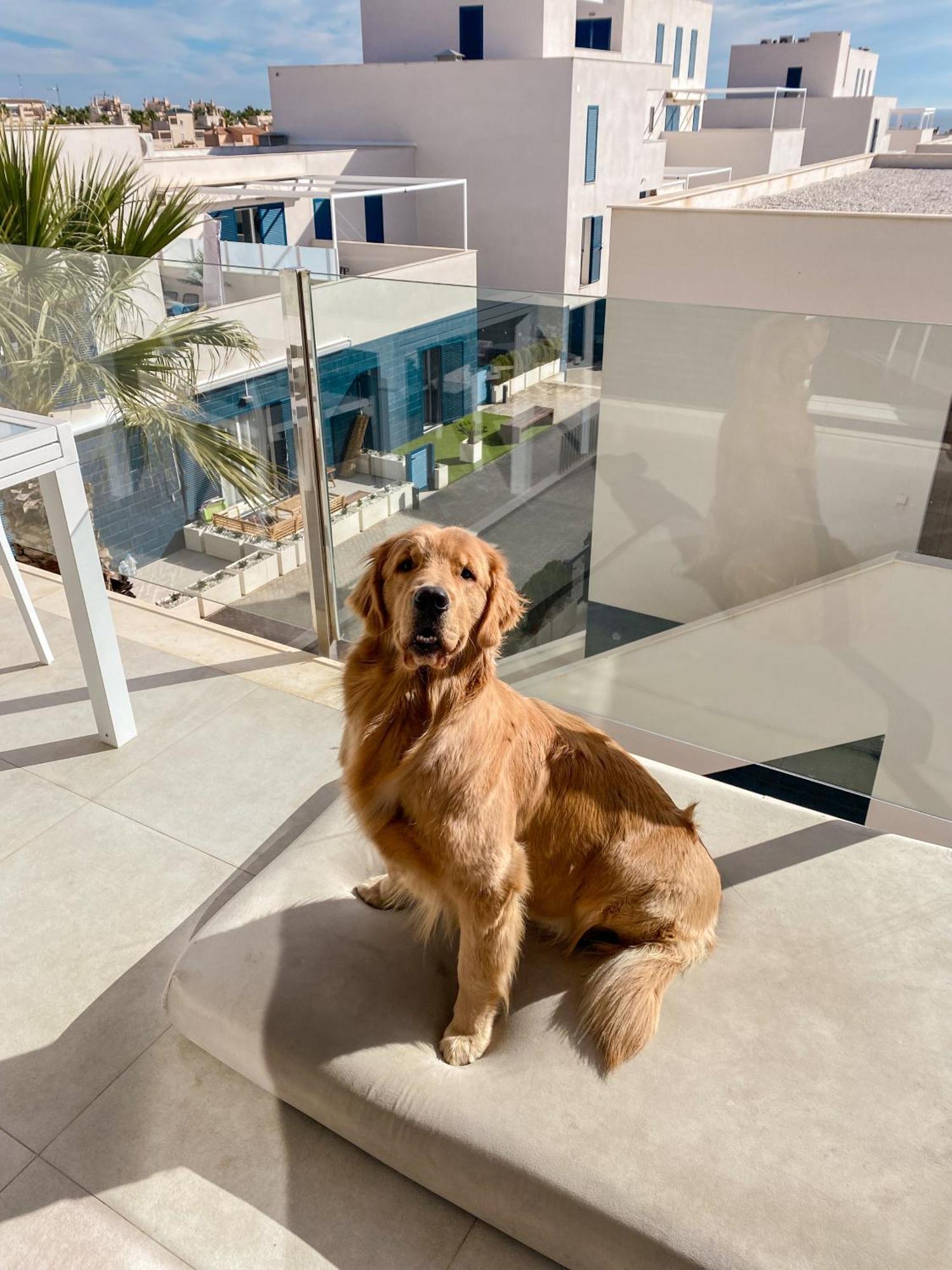 Appartement Hola Blanca - Sea, Golf, Chill à Dehesa de Campoamor  Extérieur photo